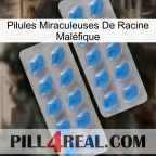 Pilules Miraculeuses De Racine Maléfique 23